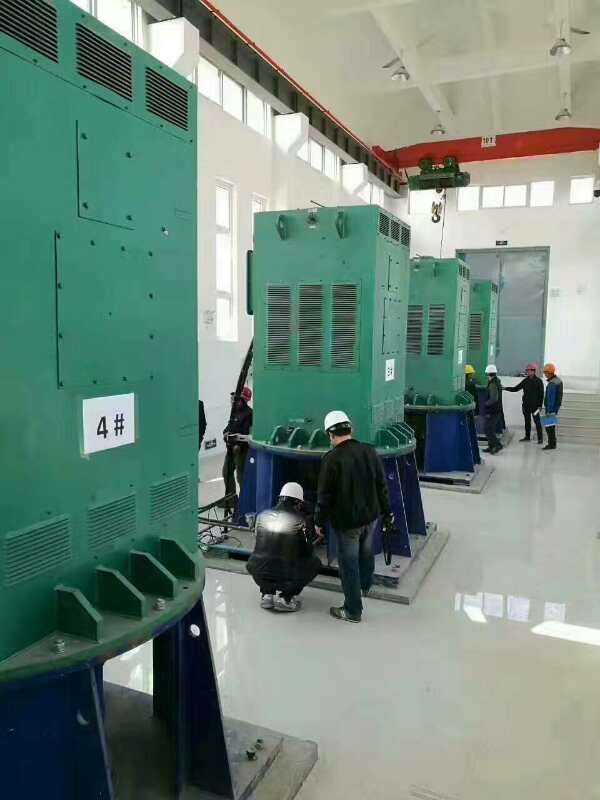 青河某污水处理厂使用我厂的立式高压电机安装现场